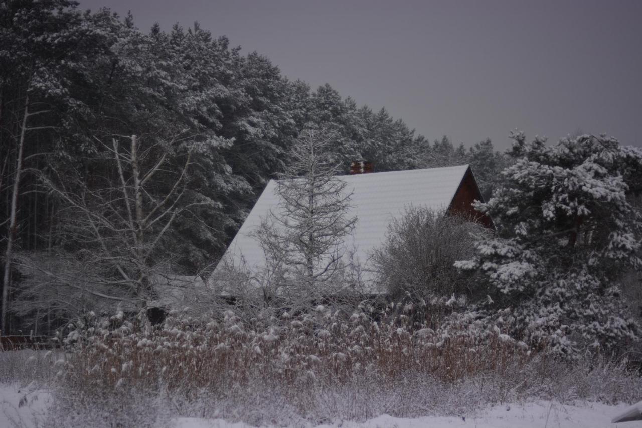 Sowa I Kumple Villa Drezdenko Luaran gambar