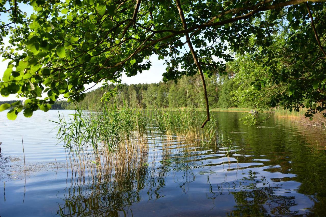 Sowa I Kumple Villa Drezdenko Luaran gambar